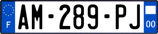 AM-289-PJ