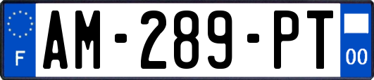 AM-289-PT