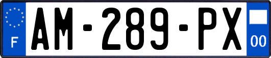AM-289-PX