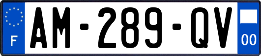 AM-289-QV