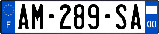 AM-289-SA