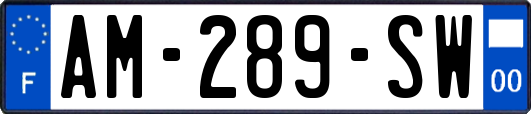 AM-289-SW