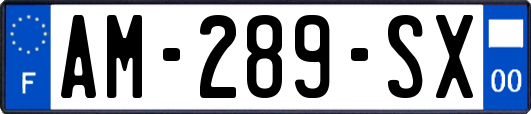 AM-289-SX