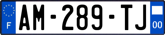 AM-289-TJ