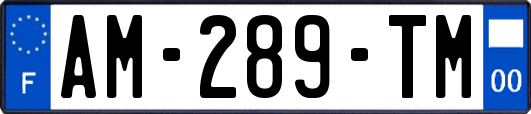 AM-289-TM