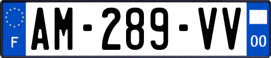 AM-289-VV