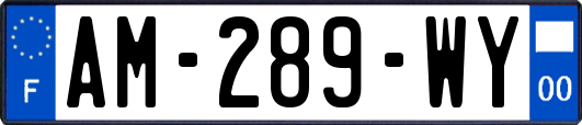 AM-289-WY
