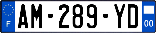 AM-289-YD