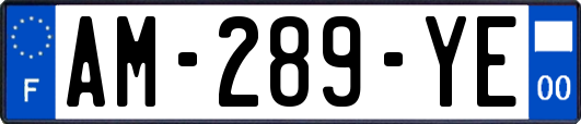 AM-289-YE
