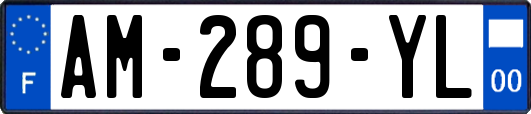 AM-289-YL