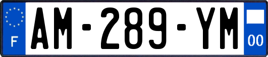 AM-289-YM