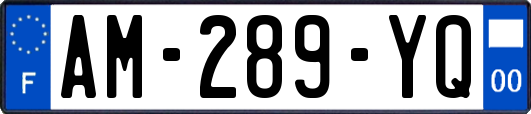 AM-289-YQ