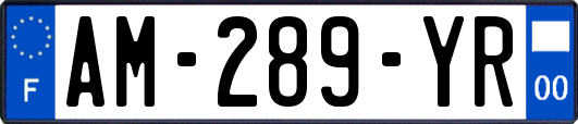 AM-289-YR
