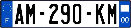 AM-290-KM