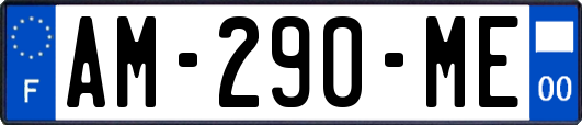 AM-290-ME