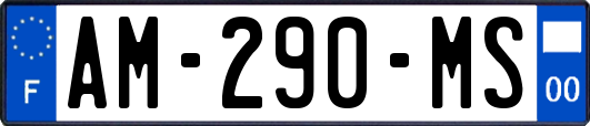AM-290-MS