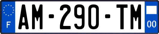 AM-290-TM