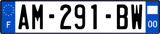 AM-291-BW
