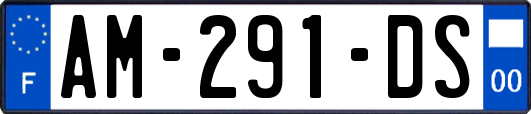AM-291-DS