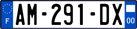 AM-291-DX