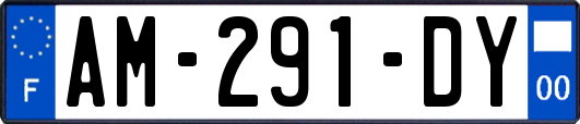 AM-291-DY