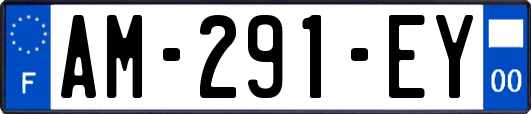 AM-291-EY