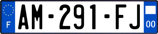 AM-291-FJ