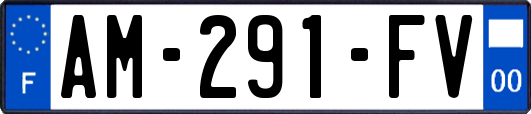 AM-291-FV