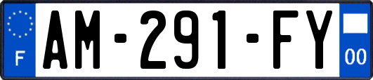 AM-291-FY