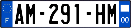 AM-291-HM