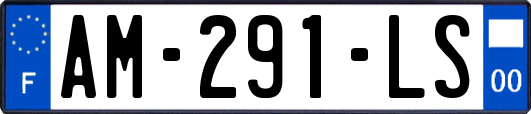 AM-291-LS