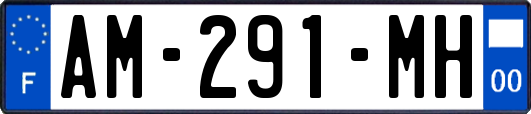 AM-291-MH