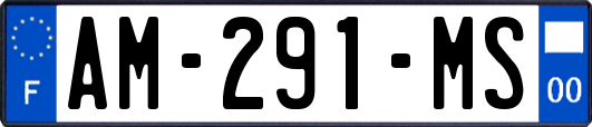AM-291-MS