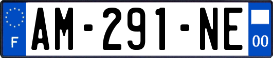 AM-291-NE
