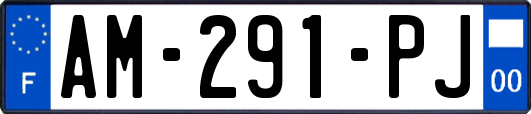 AM-291-PJ
