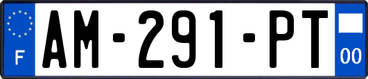 AM-291-PT