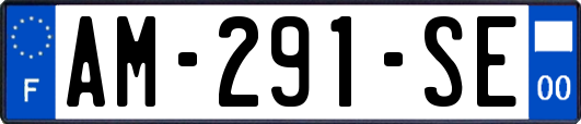 AM-291-SE