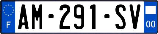 AM-291-SV