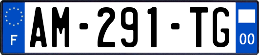 AM-291-TG