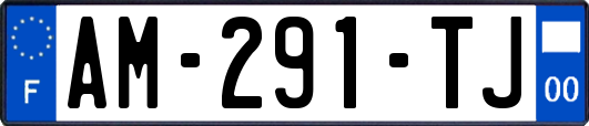 AM-291-TJ