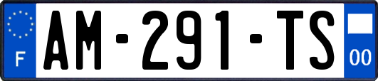 AM-291-TS