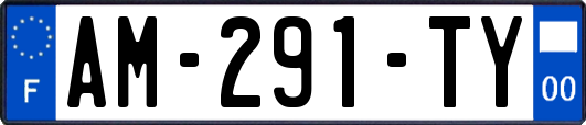 AM-291-TY