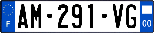 AM-291-VG