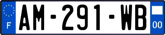 AM-291-WB