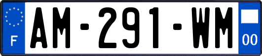 AM-291-WM