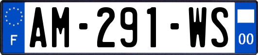 AM-291-WS