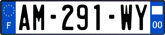 AM-291-WY