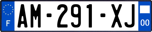 AM-291-XJ