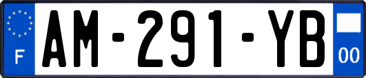 AM-291-YB