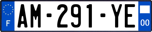 AM-291-YE